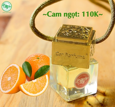 Tinh dầu treo oto mùi cam ngọt có giá 110K