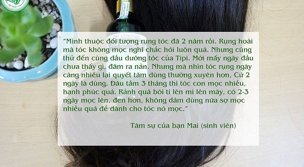 phản hồi