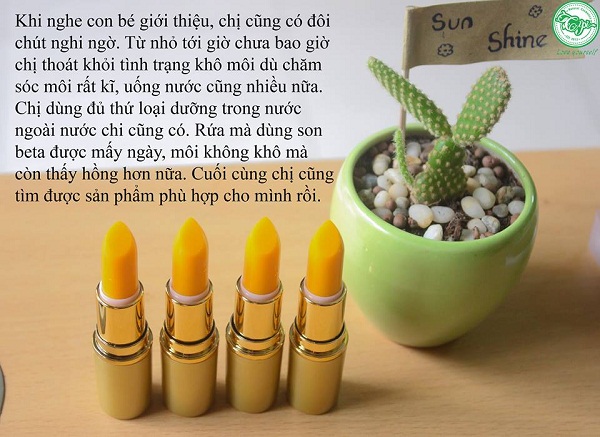 phản hồi son beta