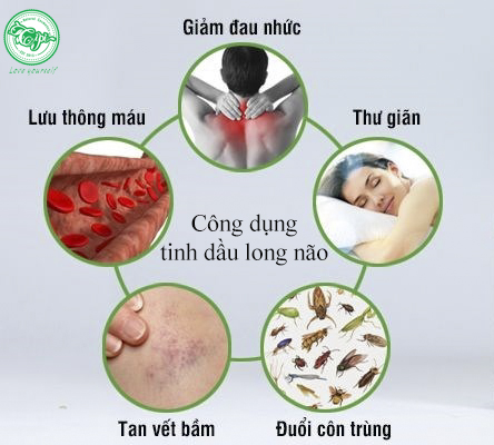 công dụng của tinh dầu long não